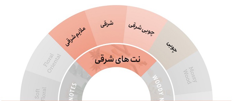 چرخه رنگ، نت های شرقی